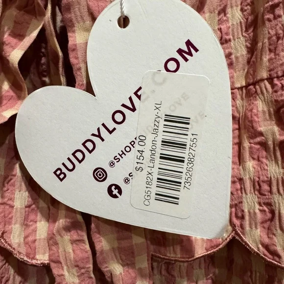 Buddy Love Pink Gingham Maxi Dress - Picture 3 of 6